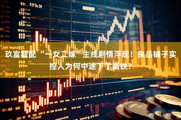 玖富智配 “一女二嫁”主线剧情浮现！良品铺子实控人为何中途下了高铁？